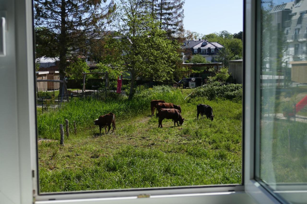 Apartment Dreesen